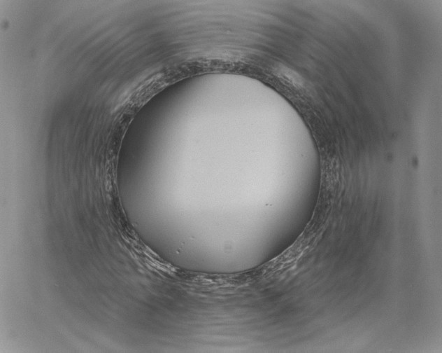 X0000060580774200511241340