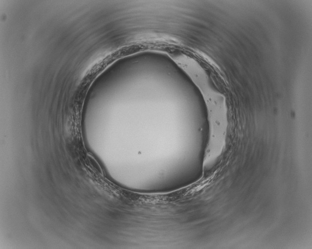 X0000060580775200511241340