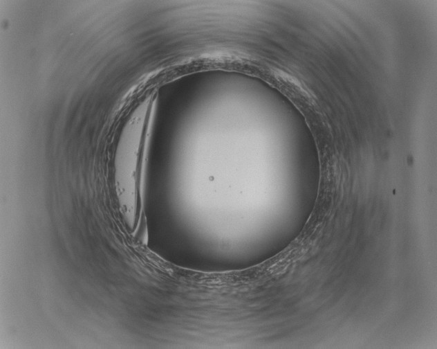 X0000060580776200511241340