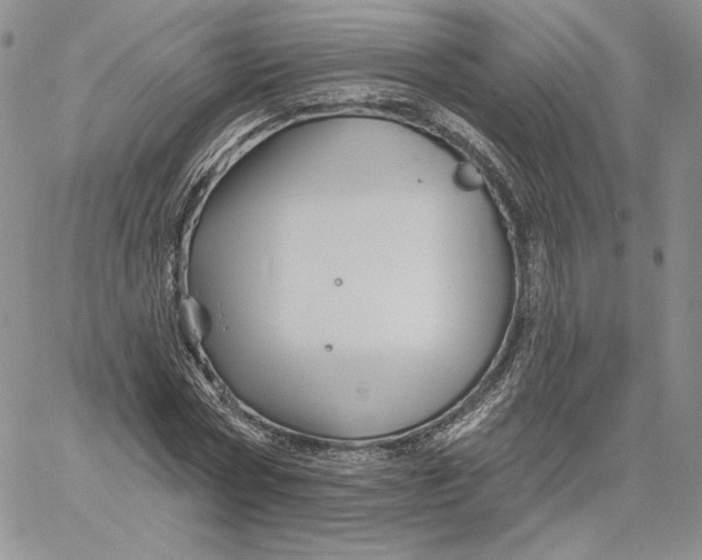 X0000060580778200511241340