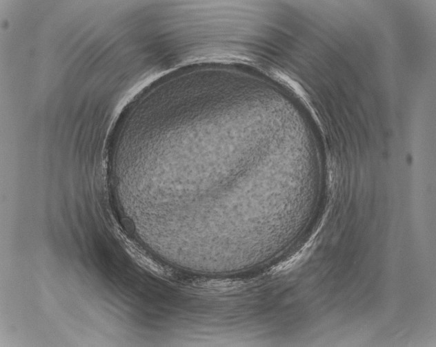 X0000060580779200511241340