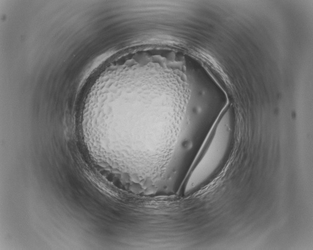 X0000060580780200511241340