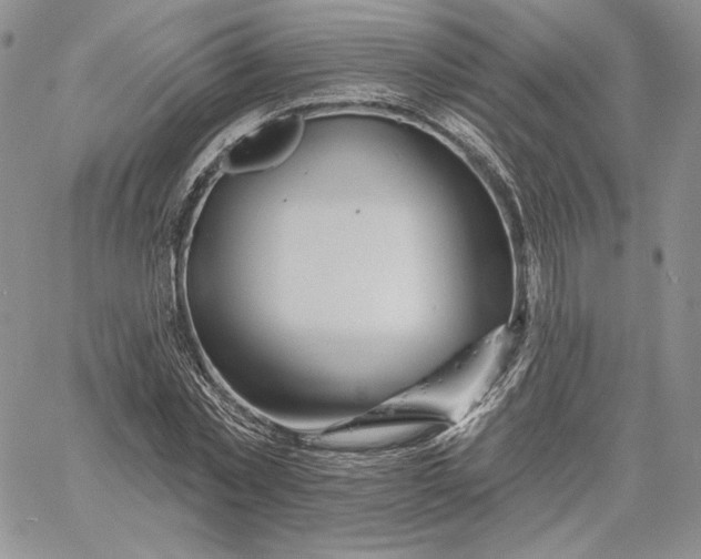 X0000060580781200511241340