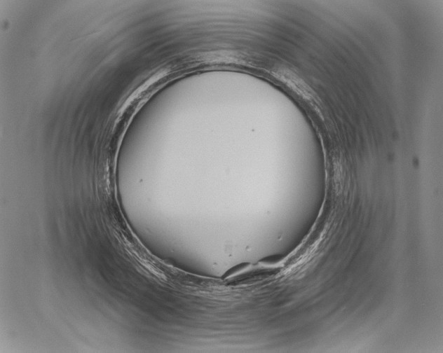 X0000060580782200511241340