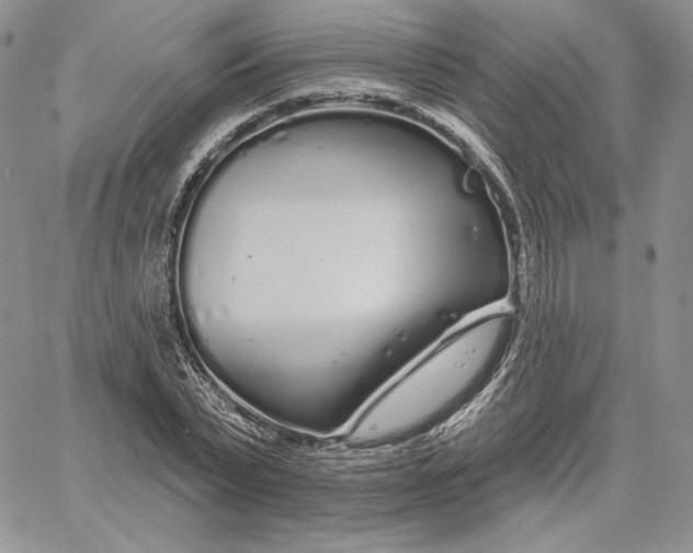 X0000060580783200511241340