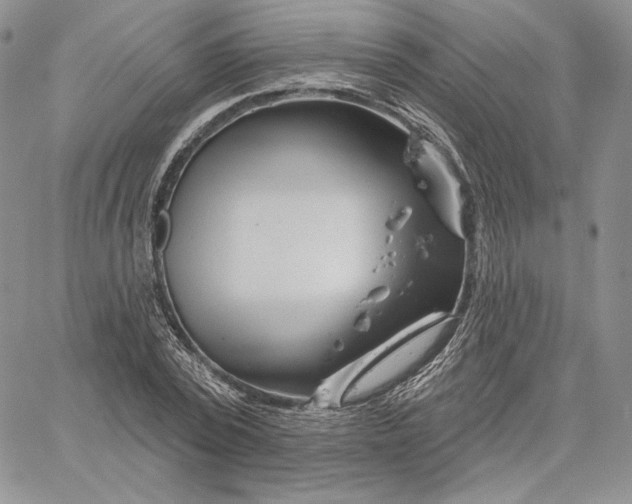 X0000060580784200511241340