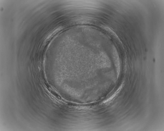 X0000060580785200511241340