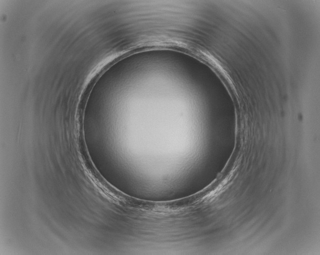 X0000060580787200511241340