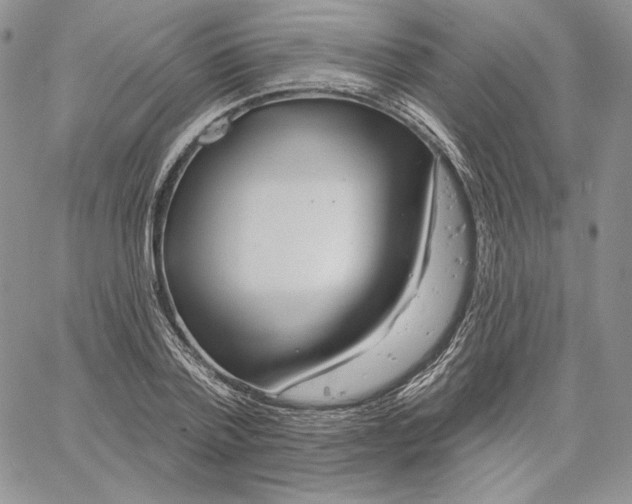 X0000060580788200511241340