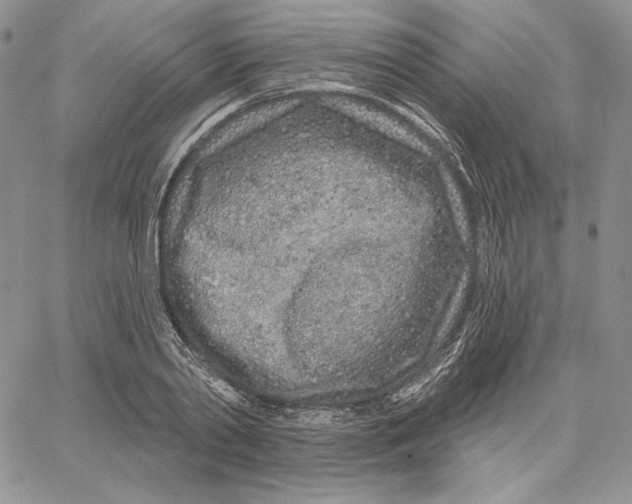 X0000060580790200511241340