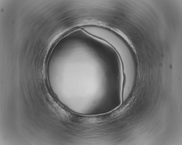 X0000060580791200511241340