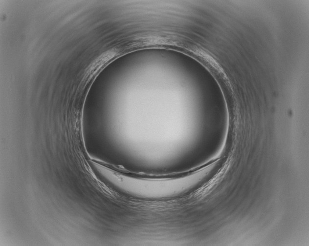 X0000060580793200511241340