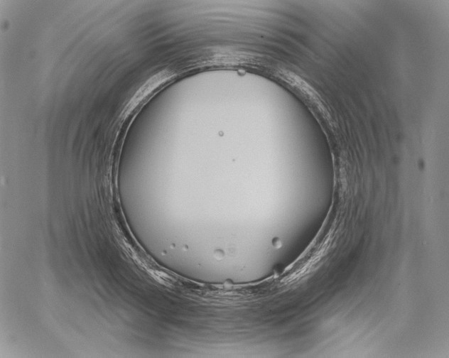 X0000060580794200511241340