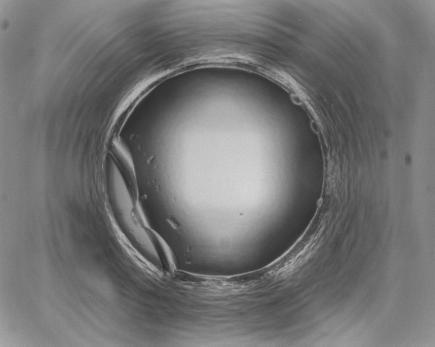 X0000060580795200511241340