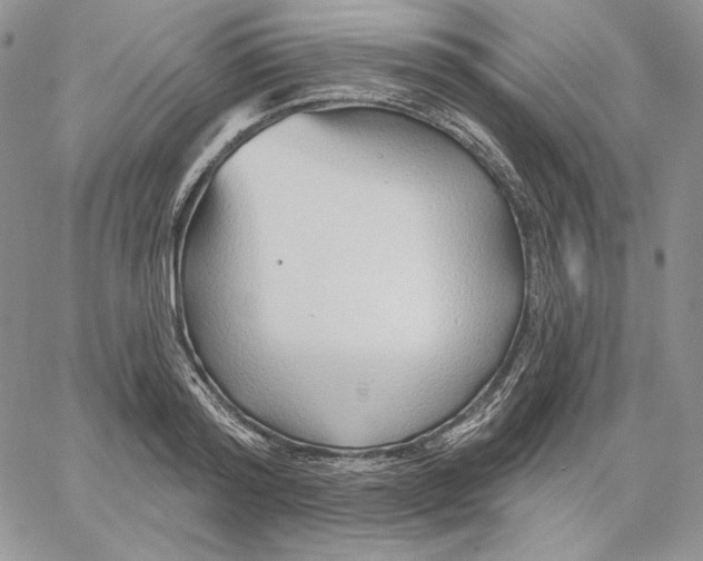 X0000060580796200511241340