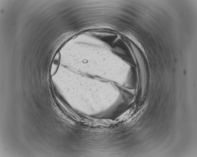 X0000060580797200511241340