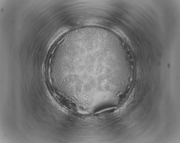 X0000060580798200511241340