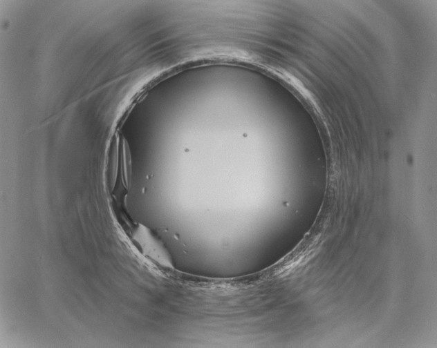 X0000060580799200511241340