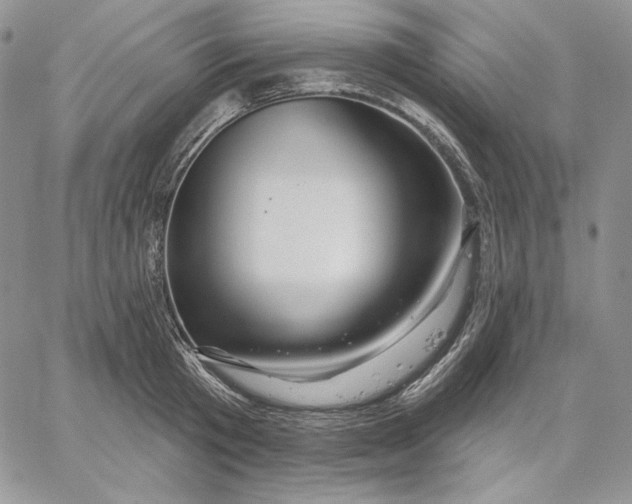 X0000060580801200511241340