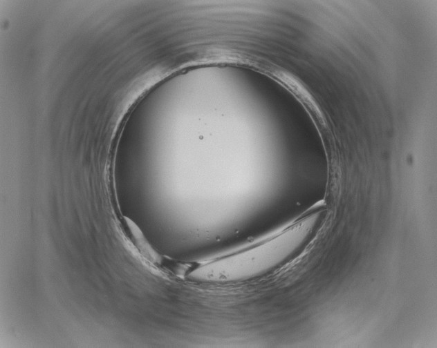 X0000060580805200511241340