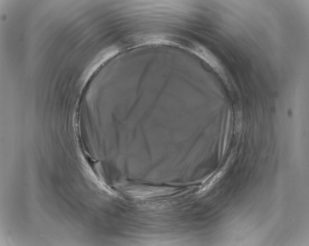 X0000060580806200511241340