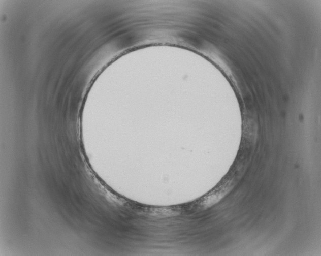 X0000060580807200511241340