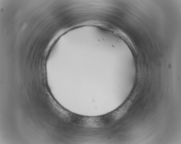 X0000060580808200511241340