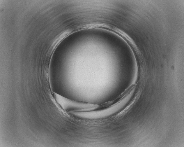 X0000060580809200511241340