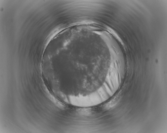 X0000060580810200511241340