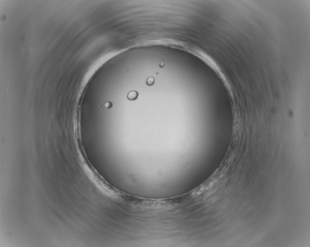 X0000060580811200511241340