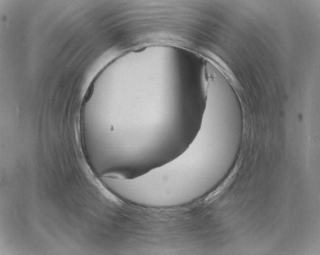 X0000060580812200511241339