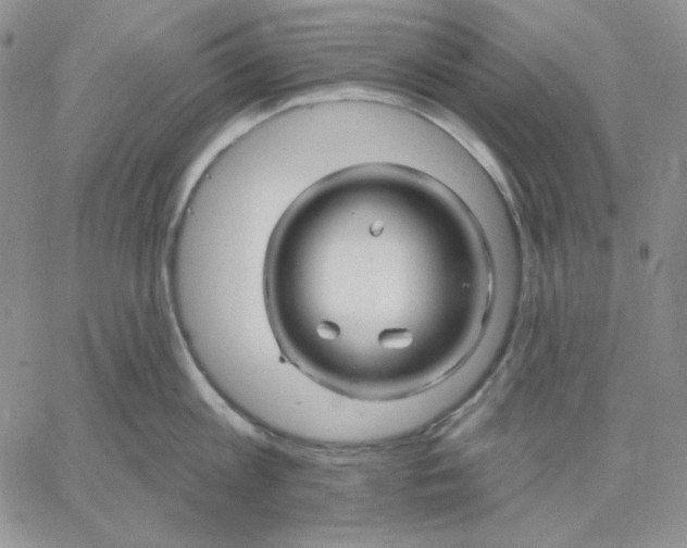 X0000060580813200511241339