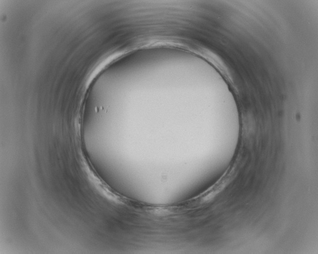 X0000060580814200511241339