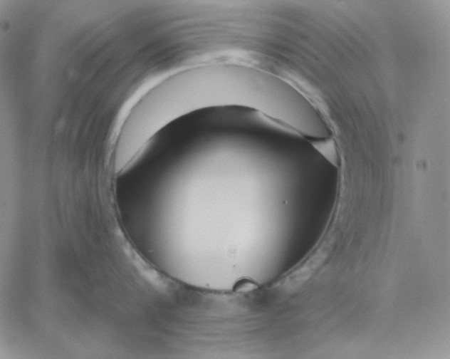 X0000060580816200511241339