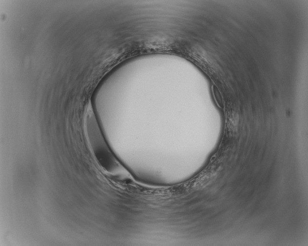 X0000060580817200511241339