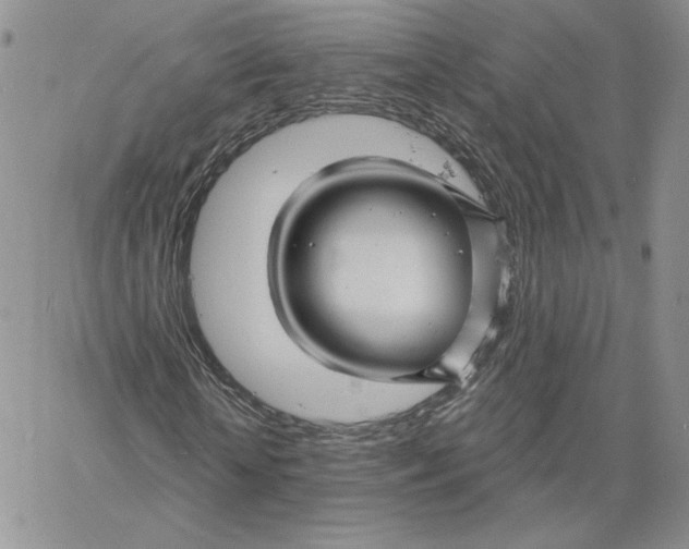 X0000060580818200511241339