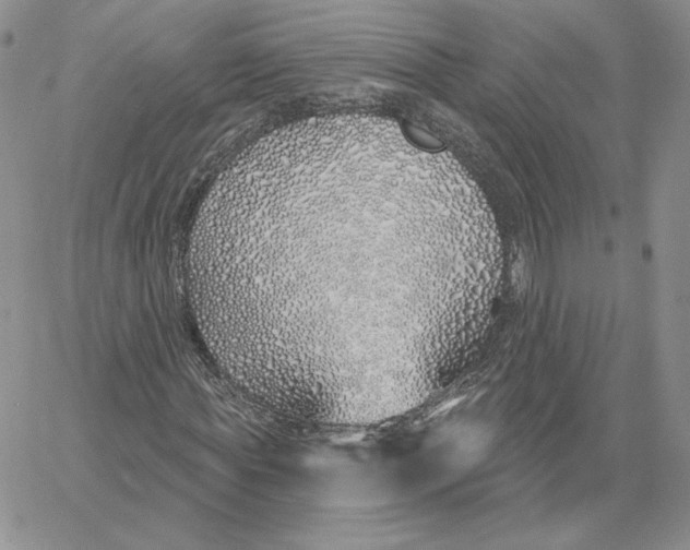 X0000060580819200511241339