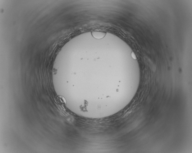 X0000060580820200511241339