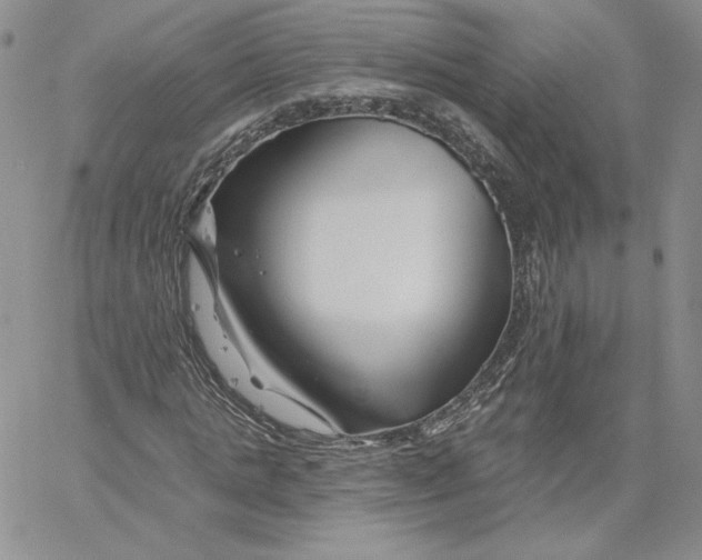 X0000060580821200511241339