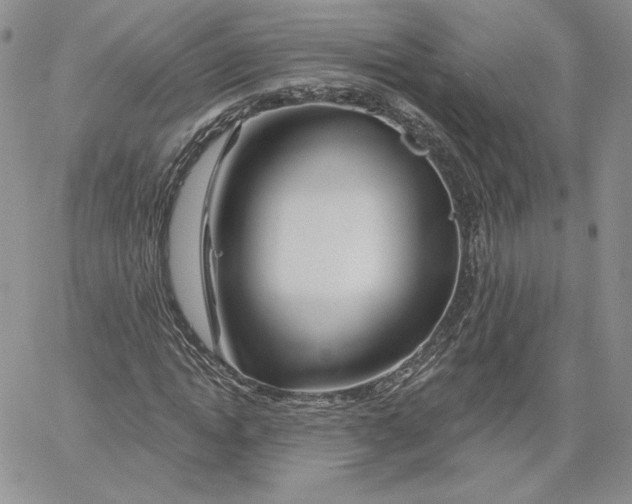 X0000060580822200511241339