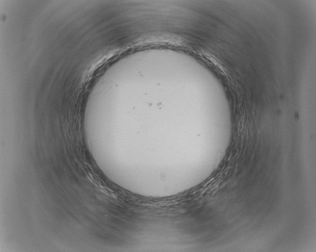 X0000060580824200511241339