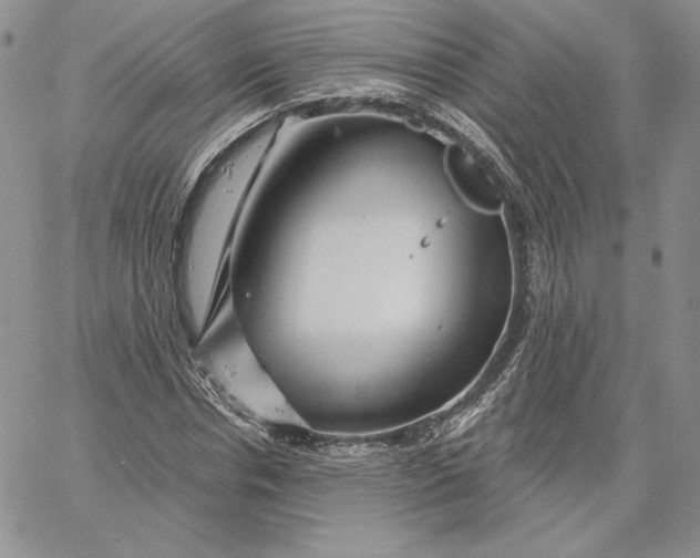 X0000060580826200511241339