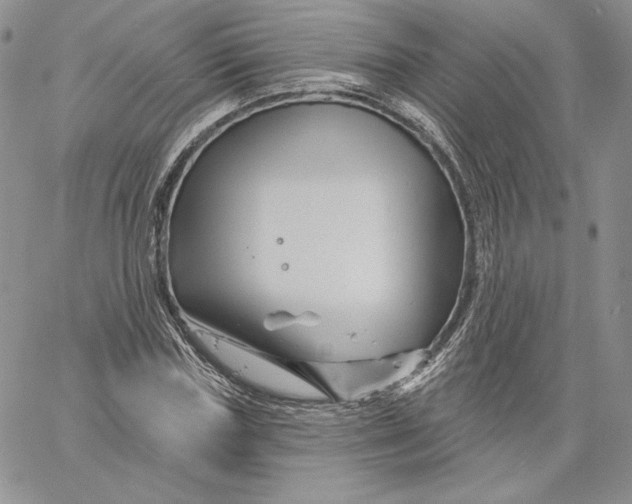 X0000060580827200511241339