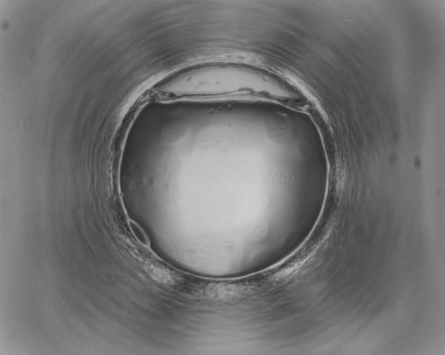 X0000060580829200511241339