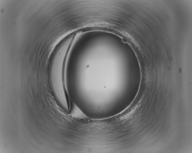 X0000060580830200511241339