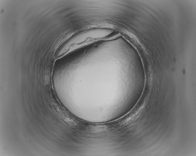 X0000060580833200511241339