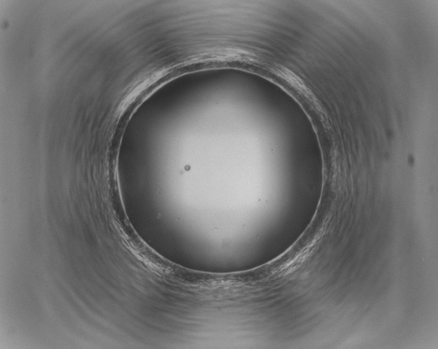 X0000060580834200511241339