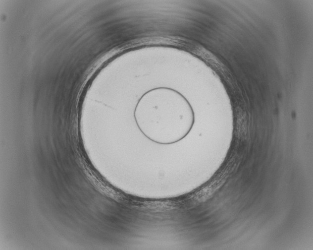 X0000060580836200511241339