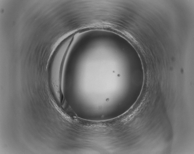 X0000060580838200511241339