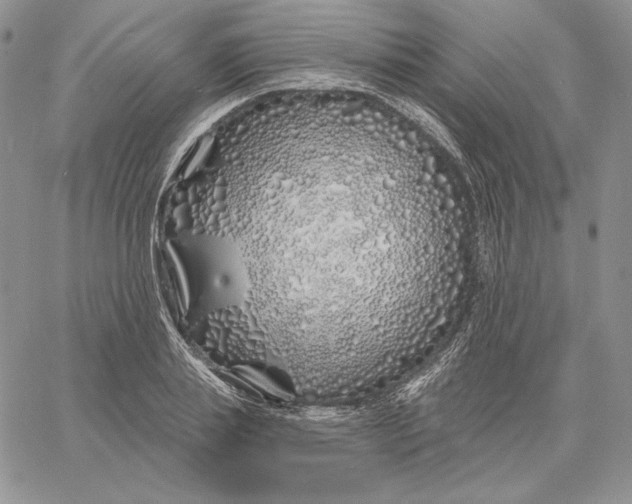 X0000060580839200511241339